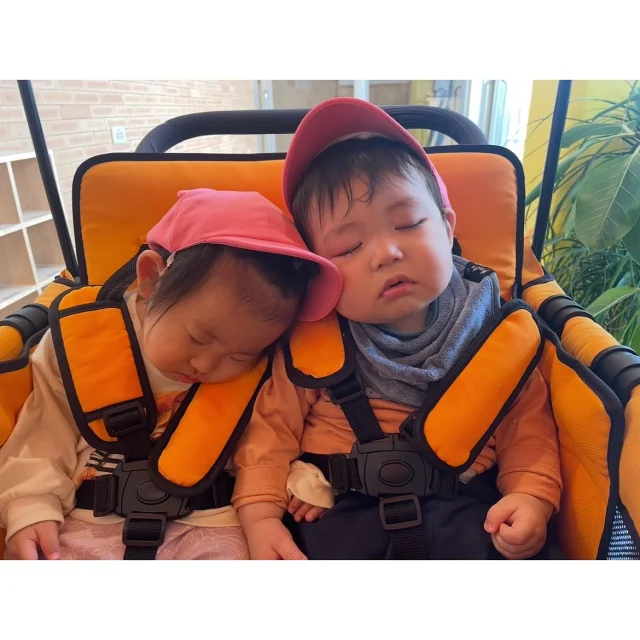 【ふたば組　1年間の思い出】
初めてパパとママから離れて過ごしたふたば組さん。
初めは寂しくて泣いていた子どもたちも、今では「せんせーい」と言って微笑んでくれます☺️

沢山の成長をしたこの1年間、できるようになったことが増えて、楽しいことをお友だちや先生たちとたくさん経験しましたね💕

つぼみ組さんになっても、元気いっぱい笑顔で遊ぼうね！

#淡水幼稚園
#たんすいようちえん
#幼稚園
#保育園
#たんすい保育園
#たんすい和白保育園
#たんすい
#tansui
#tansuiyouchien
#福岡市博多区
#fukuoka
#kindergarten
#たんすいfamilia保育園 
#企業主導型保育園 
#たんすいケアルーム
#病児病後児保育
#児童発達支援事業所
#たんすいWAYルーム
#淡水さわら幼稚園
#1年間の思い出
#大きくなったね