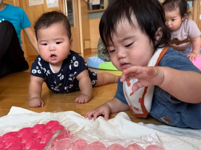【水遊び ふたば組】
毎日暑い日が続いていますね☀️🥵
ふたば組さんは、活動の後に沐浴を行い、汗を流してスッキリと過ごすことが出来ていますよ✨️

他にも、氷や水、夏野菜などに触れ、様々な夏ならではの活動を行い、楽しんでいます🧊🥒

初めて触る感触や冷たさ、香りに色んな表情を見せてくれて、とても可愛らしかったです💖

#淡水幼稚園
#たんすいようちえん
#幼稚園
#保育園
#たんすい保育園
#たんすい和白保育園
#たんすいfamilia保育園
#tansui
#tansuiyouchien
#福岡市博多区
#fukuoka
#kindergarten
#たんすいケアルーム
#病児病後児保育
#児童発達支援事業所
#たんすいWAYルーム
#ふたば組
#０歳児
#氷遊び
#夏休み
#夏野菜
#野菜スタンプ