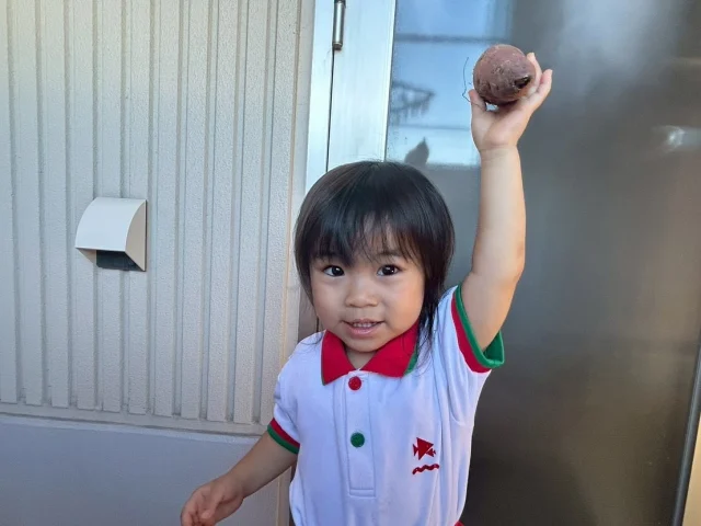 【もぐもぐDAY  つぼみ・ふたば組】

今回のもぐもぐDAYではさつまいもに触れてもらいました！

ふたば組は、不思議そうに見たり、持ち上げてみたり、たくさん触ってさつまいもにたくさん興味をしめしてくれました🌟

つぼみ組は、芋掘り体験をしてもらいました！🍠土も嫌がらず触ってくれて上手に芋掘りをしてましたよ🎶

給食の豚汁にもさつまいもが出ましたがたくさん食べてくれました^ ^

#淡水幼稚園
#たんすいようちえん
#幼稚園
#保育園
#たんすい保育園
#たんすい和白保育園
#たんすい
#tansui
#tansuiyouchien
#福岡市博多区
#fukuoka
#kindergarten
#たんすいfamilia保育園 
#企業主導型保育園 
#たんすいケアルーム
#病児病後児保育
#児童発達支援事業所
#たんすいWAYルーム
#淡水さわら幼稚園
#もぐもぐDAY
#食育
#食育体験
#芋掘り
#さつまいも