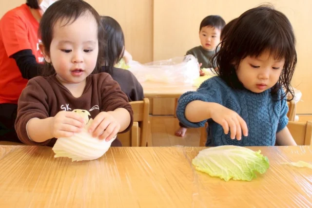 【もぐもぐDAY】

今月のもぐもぐDAYは食育体験を行いました🥬🫛
ふたば組→白菜ちぎり
つぼみ組→グリンピースの鞘むき
野菜に興味津々！積極的に取り組みながら、楽しむ姿が見られましたよ🎶

#福岡市保育園
#保育園
#幼稚園
#食育
#野菜