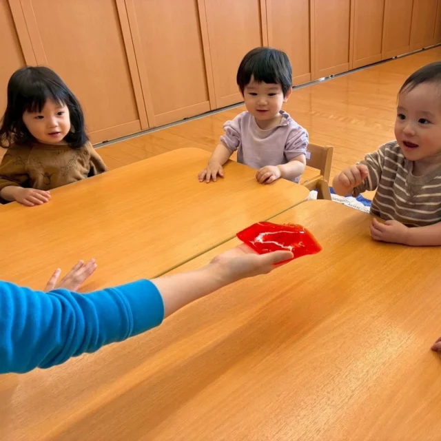 【もぐもぐDAY　ふたば、つぼみ、はな組】
寒天を使って感触遊びをしました！
はじめは恐る恐る触っていましたが、慣れてくると手で握ってみたり、お皿に入れてパフェやケーキに見立てて遊んでいました🎵
寒天のぷるぷるした感触や冷たさ、色とりどりの寒天に目を輝かせている姿が印象的で、五感を刺激できる遊びになりました。

#感触遊び
#食育
#福岡市保育園
#保育園
#幼稚園
